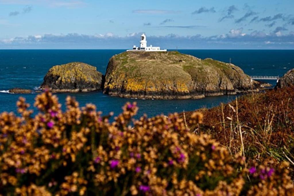 Pembrokeshire Apartment Goodwick Dış mekan fotoğraf